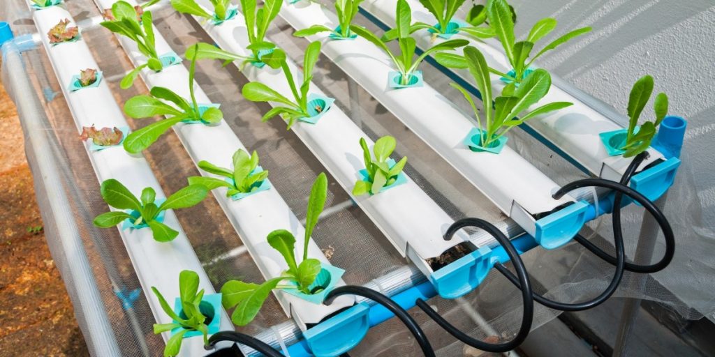 banner - 2020-06-22T104635.076